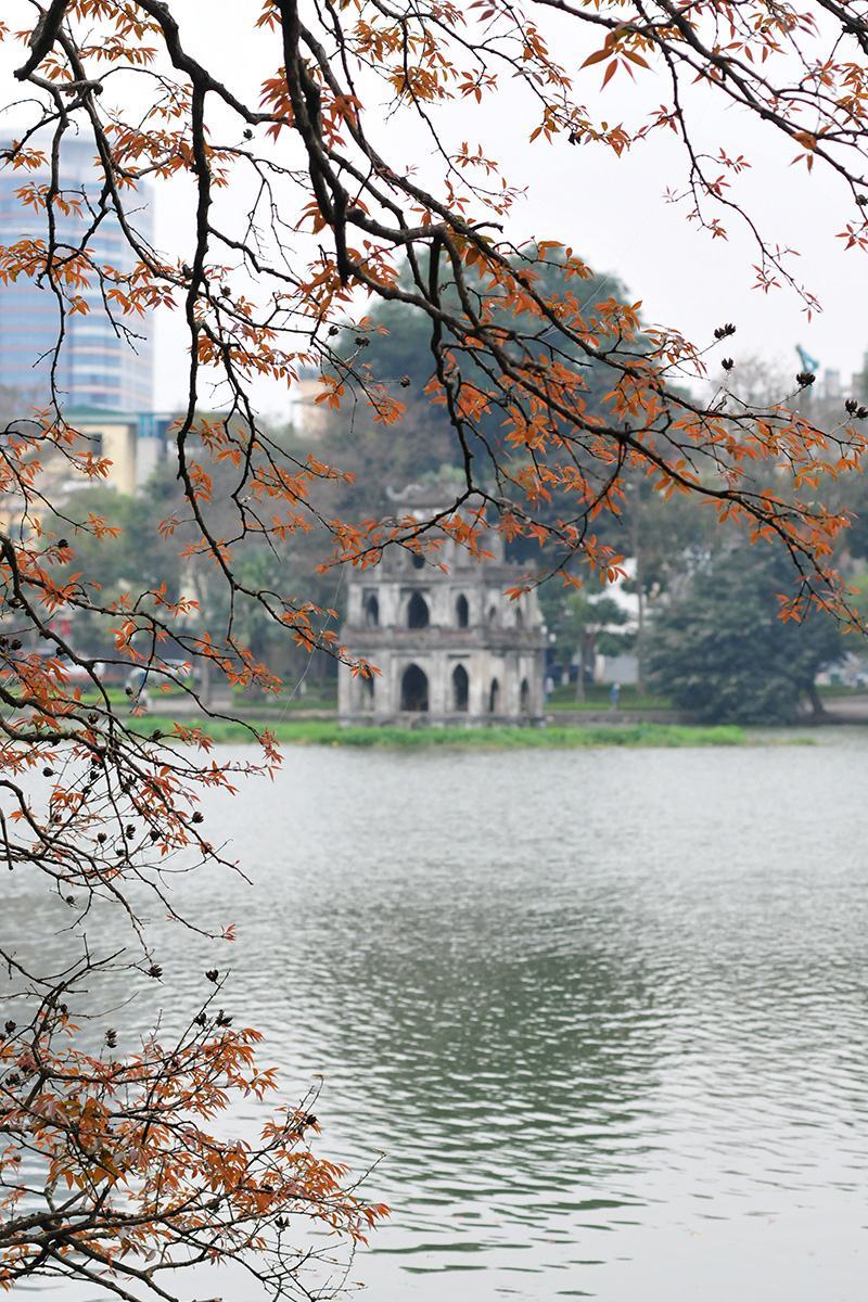 Ảnh hồ Hoàn Kiếm chặt cây mùa thay lá