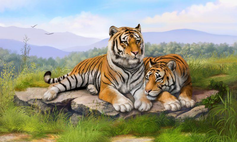 một bức tranh về một con hổ nằm trên một tảng đá