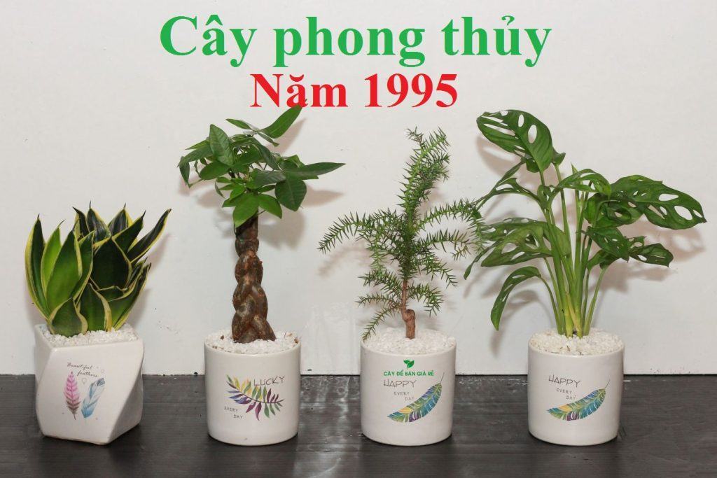 1995 bằng bao nhiêu 1