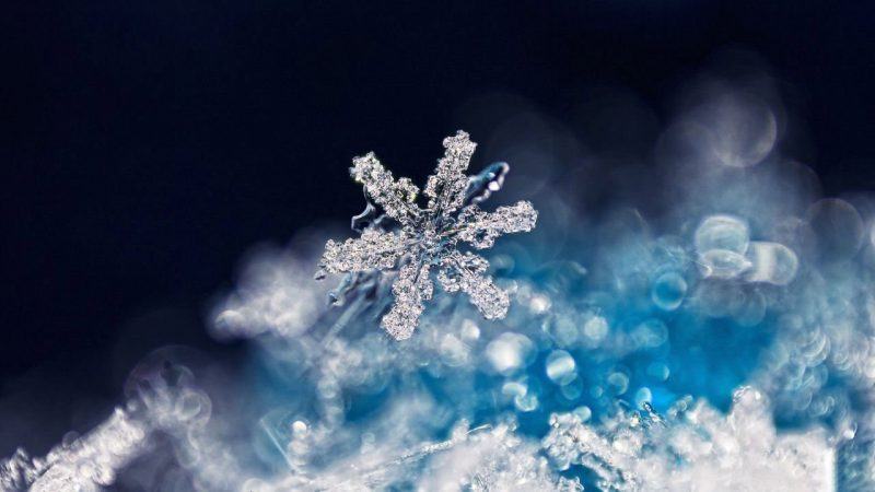 Hình Nền Bông Tuyết Nền Tải Về Miễn Phí Hình ảnh bông tuyết nền trắng  bông tuyết nền Sáng Tạo Từ Lovepik