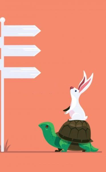 Hình ảnh rùa và thỏ tìm đường