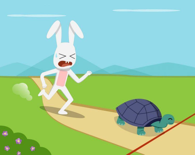 Rùa và thỏ bị mất trong bức tranh