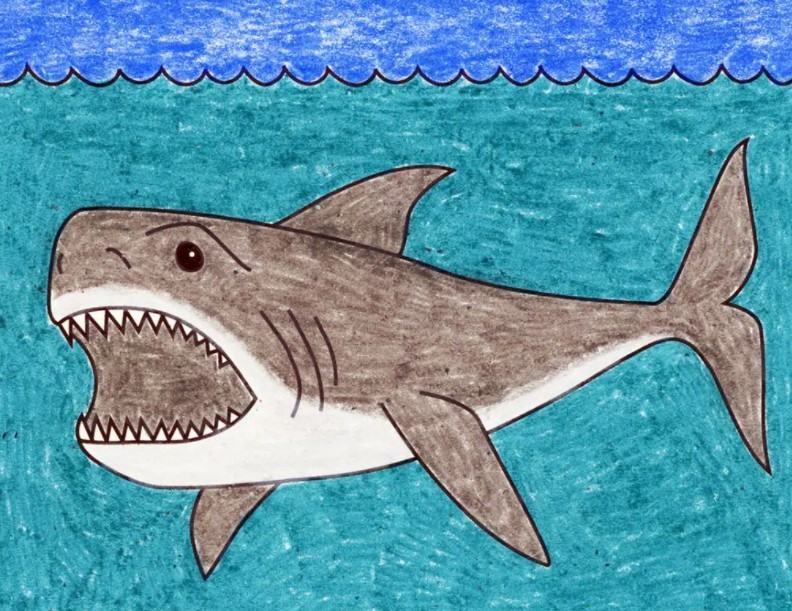 vẽ một con cá mập 21