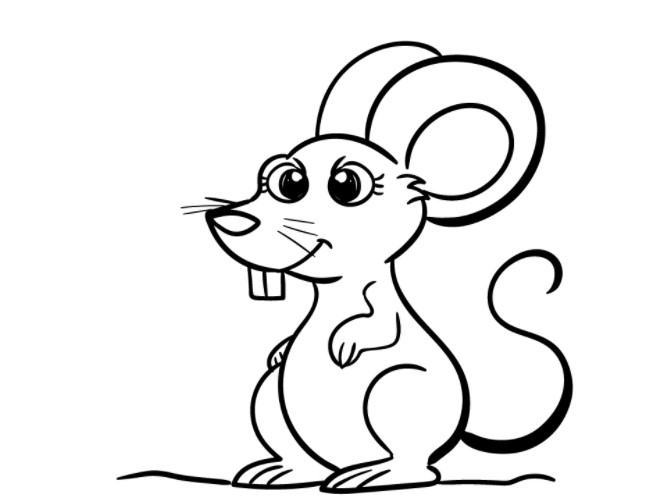 vẽ con chuột 7