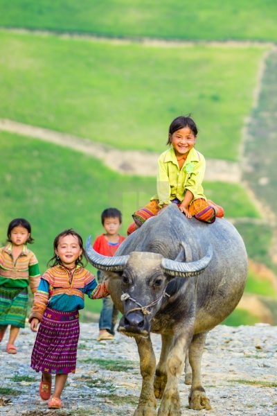 Hình ảnh làng quê Việt Nam, những đứa trẻ làng quê