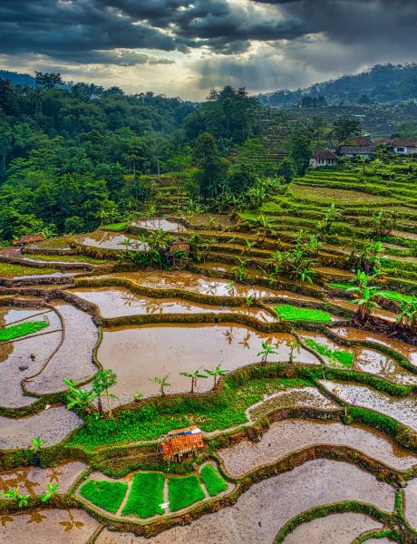 Hình ảnh làng quê Việt Nam, hình ảnh đồng quê, miệt vườn nhìn từ trên cao