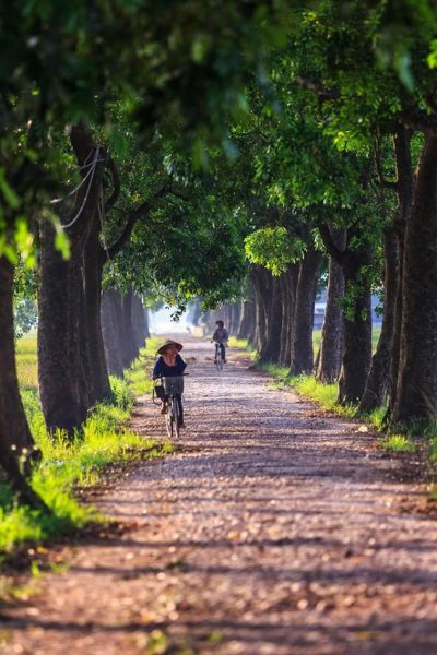 Hình ảnh người dân làng Việt đạp xe trên đường