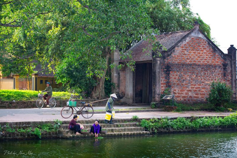 Bức tranh làng quê Việt Nam đầu làng