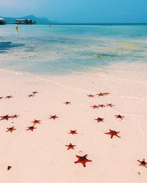 Ảnh đảo Phú Quốc với những vì sao tuyệt đẹp