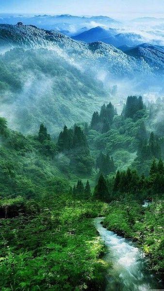 Phong cảnh thiên nhiên Việt Nam núi rừng hùng vĩ
