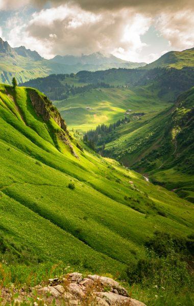 một bức tranh về những ngọn núi bao phủ bởi cỏ xanh tươi