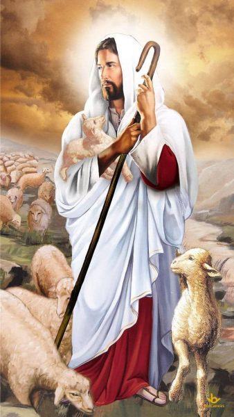 Hình ảnh Chúa và đàn chiên