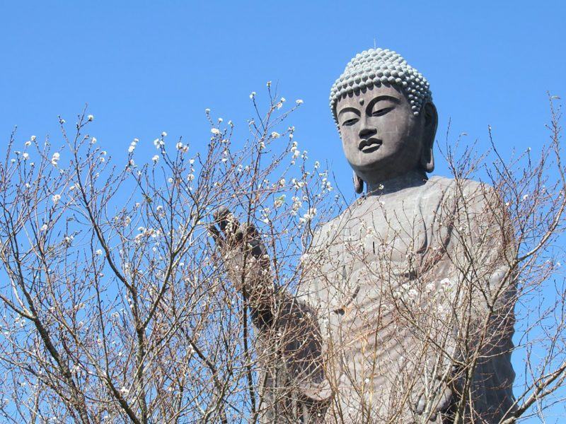 Hình ảnh Đức Phật bay lên trời