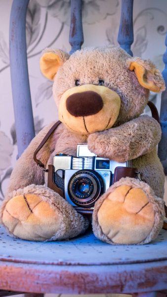 gấu bông thích chụp ảnh