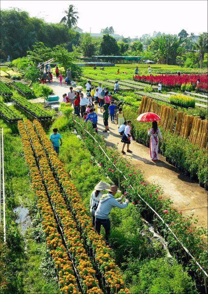 Pictures of Sa Dec Flower Village full of tourists