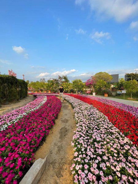 Photo of Sa Dec Flower Village visiting the flower garden