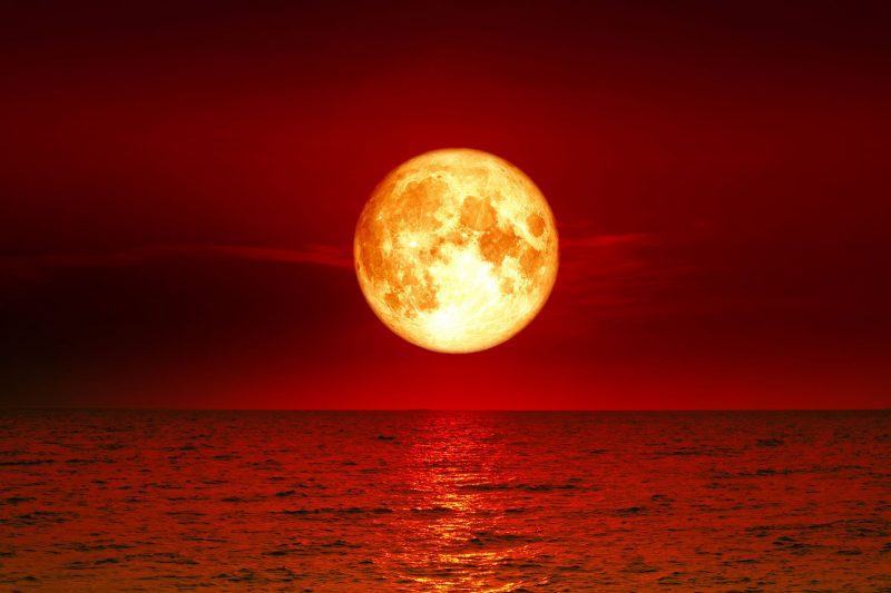 ảnh đẹp trăng trên biển
