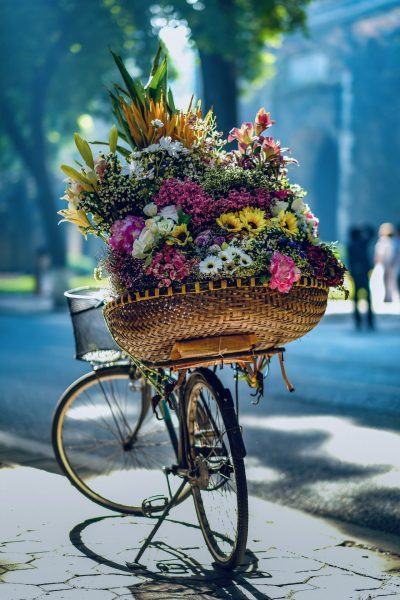 hình ảnh chiếc xe đạp chở lẵng hoa