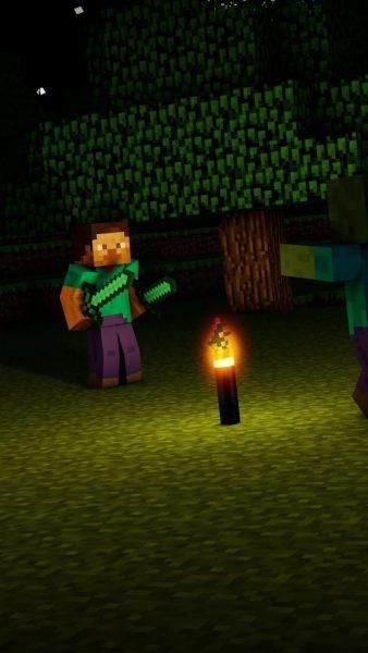 Hình ảnh Minecraft về con người vào ban đêm