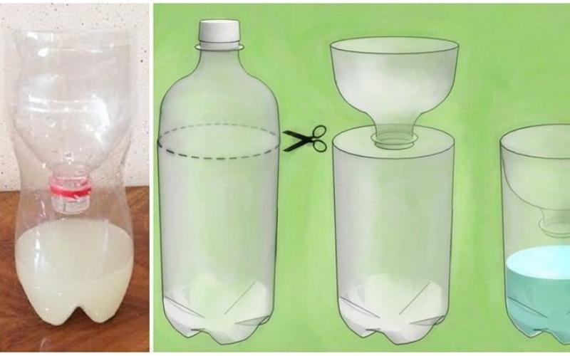 Cách thu hút thằn lằn bằng chai nhựa