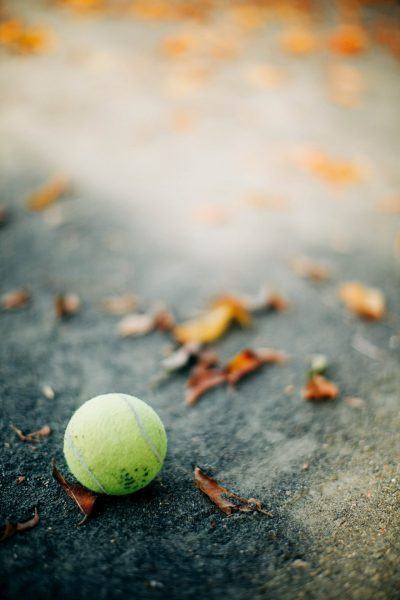 quả bóng tennis và lá mùa thu