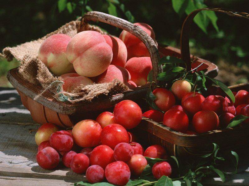 hình ảnh quả đào và nhiều loại trái cây khác