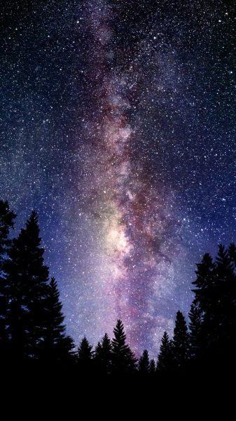 ảnh galaxy dài ngân hà trên rừng thông