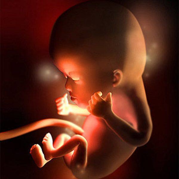 Em bé 12 tuần trong bụng mẹ