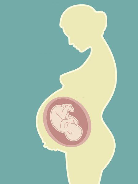 hình ảnh em bé trong bụng mẹ