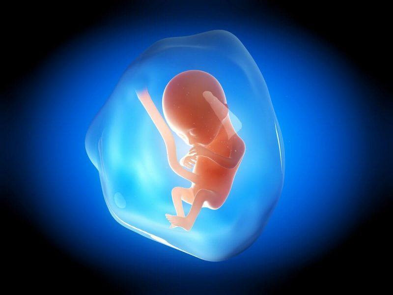 Hình ảnh 3D em bé trong bụng mẹ