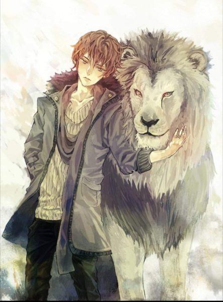 sư tử và sư tử hình ảnh cậu bé và sư tử