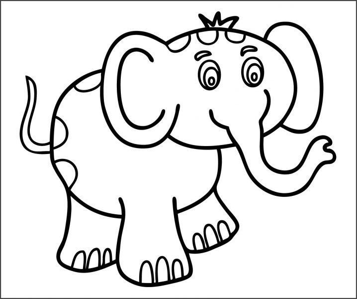 Tổng hợp 79 vẽ con voi đơn giản nhất siêu hot  Tin Học Vui