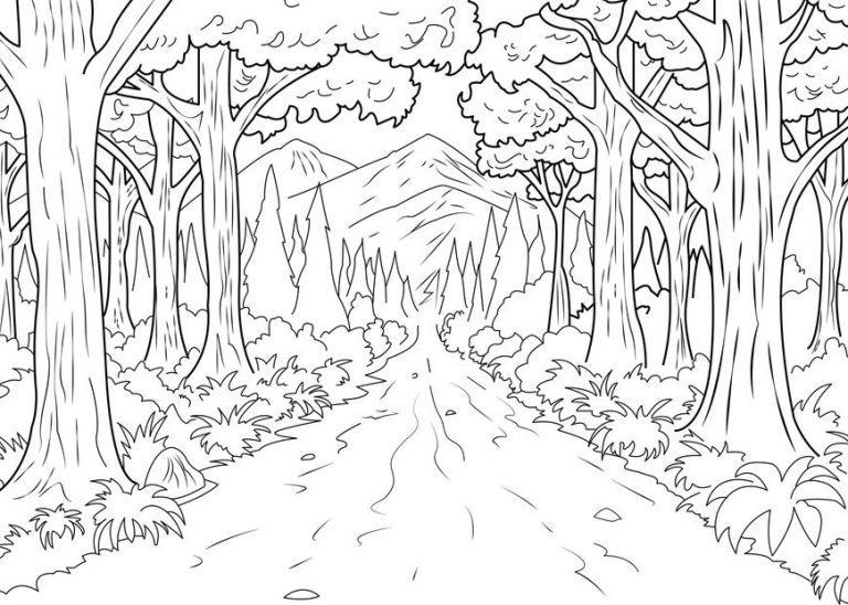 Vẽ bức tranh đài phun nước trong rừng