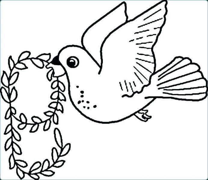 Phim hoạt hình về một con chim rời tổ