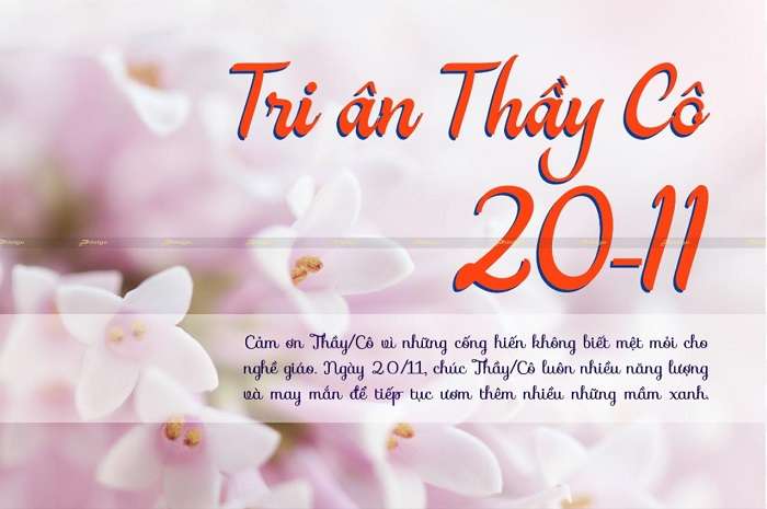 Ảnh đẹp ngày 20/11