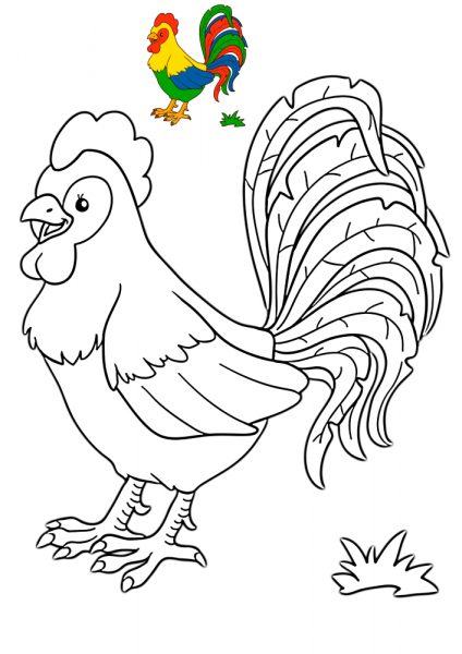 Chi tiết 55 về tranh tô màu con gà  Du học Akina