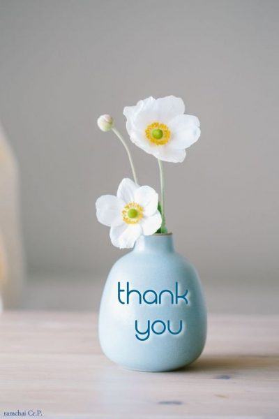 cảm ơn bạn bình hoa màu xanh photo