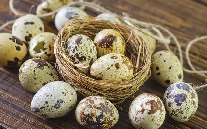 Ăn trứng cút lộn có tăng cân không?