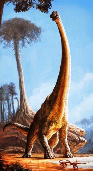 hình ảnh khủng long dài nhất