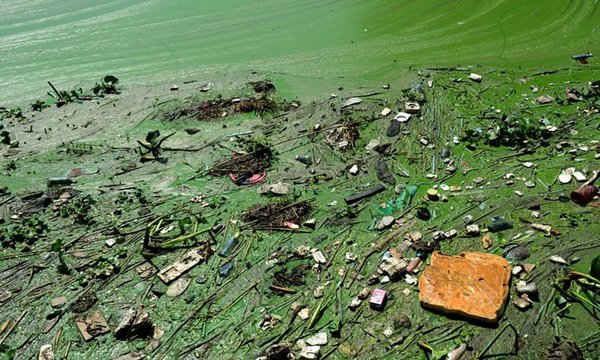 Hồ Taihu (Thái Hồ) của Yixing, tỉnh Giang Tô, Trung Quốc nổi váng màu xanh lá cây cùng bọt màu nâu độc hại.