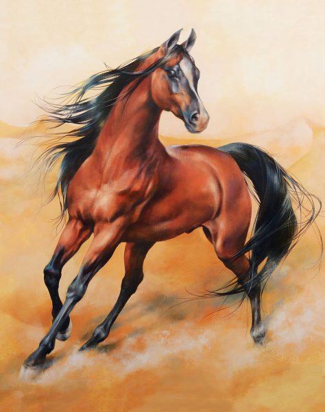 Một bức tranh con ngựa