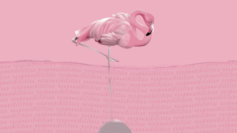 flamingo hình nền nghệ thuật