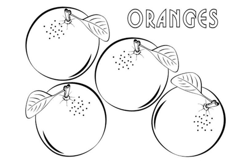 Vẽ hình những quả cam cạnh nhau