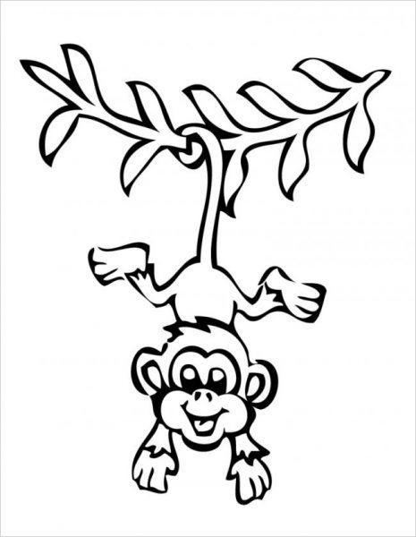 khỉ trèo cây