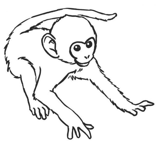 Một bức vẽ con khỉ