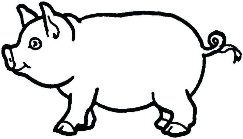 Vẽ một con lợn với một cái đuôi gấp