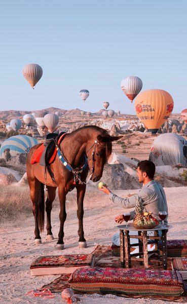 hình ảnh khinh khí cầu và ngựa