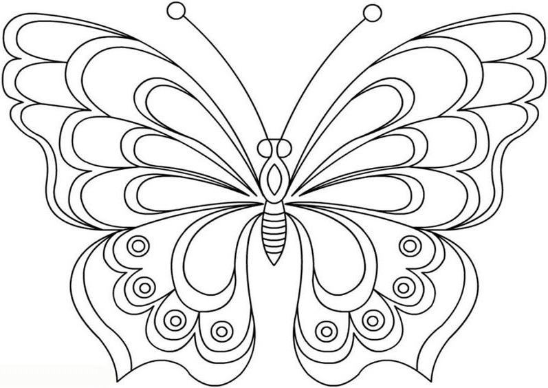 Trọn bộ những mẫu tranh tô màu con bướm dễ thương nhất cho bé  DYB