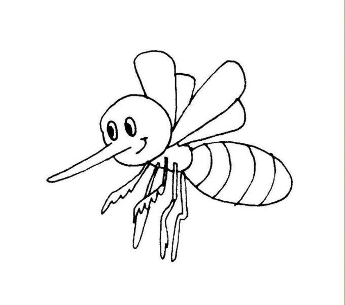 Tranh tô màu con ong vòi dài