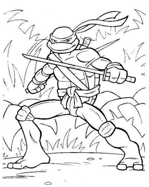 Trang tô màu Teenage Mutant Ninja Turtles luyện tập trong rừng